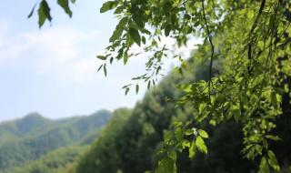 五一自驾游好去处