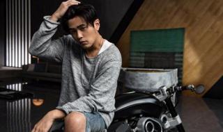 周游记什么时候播出