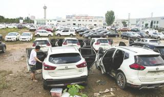 郑州泡水车去哪儿了