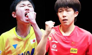 孙颖莎世界杯冠军